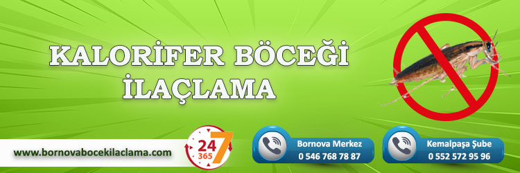 Kalorifer Böceği İlaçlama Bornova İlaçlama