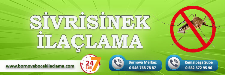 Sivrisinek İlaçlama