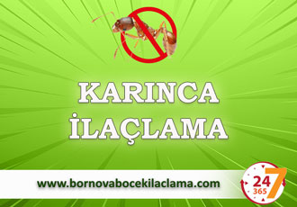 Karınca İlaçlama