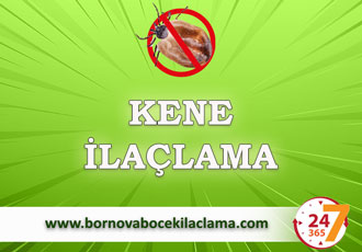 Kene İlaçlama