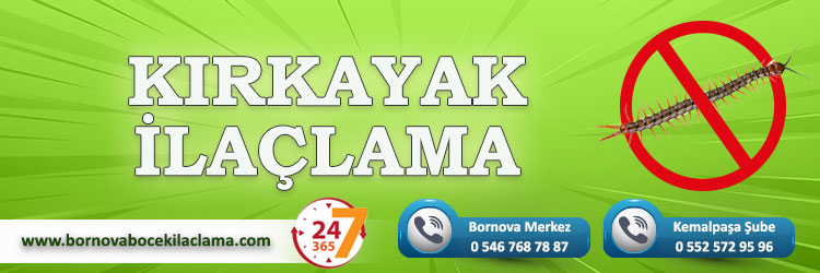 Kırkayak İlaçlama